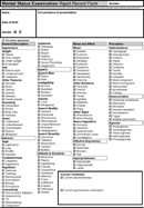 Mental Status Examination Rapid Record Form form