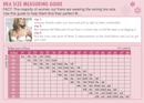 Bra Size Chart 1 form