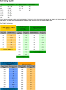 Bat Sizing Guide form