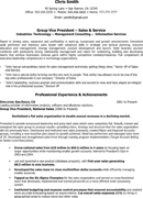 Executive Resume Sample For Sales VP form