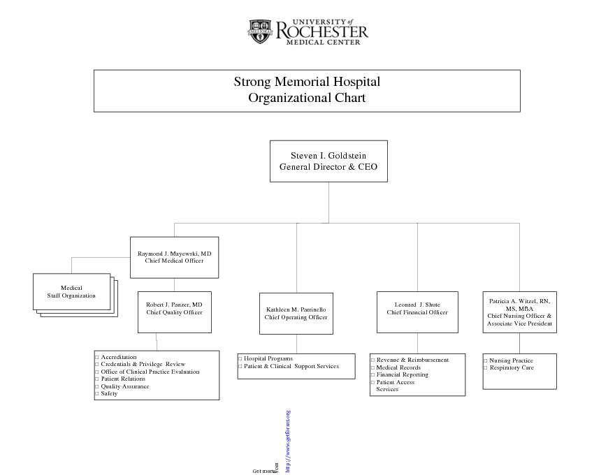 Hospital Organizational Chart 3