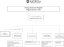 Hospital Organizational Chart 3 form