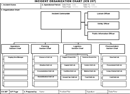 ICS Organizational Chart 1 form