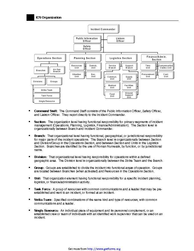 ICS Organizational Chart 3