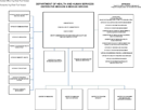 CMS Organizational Chart form