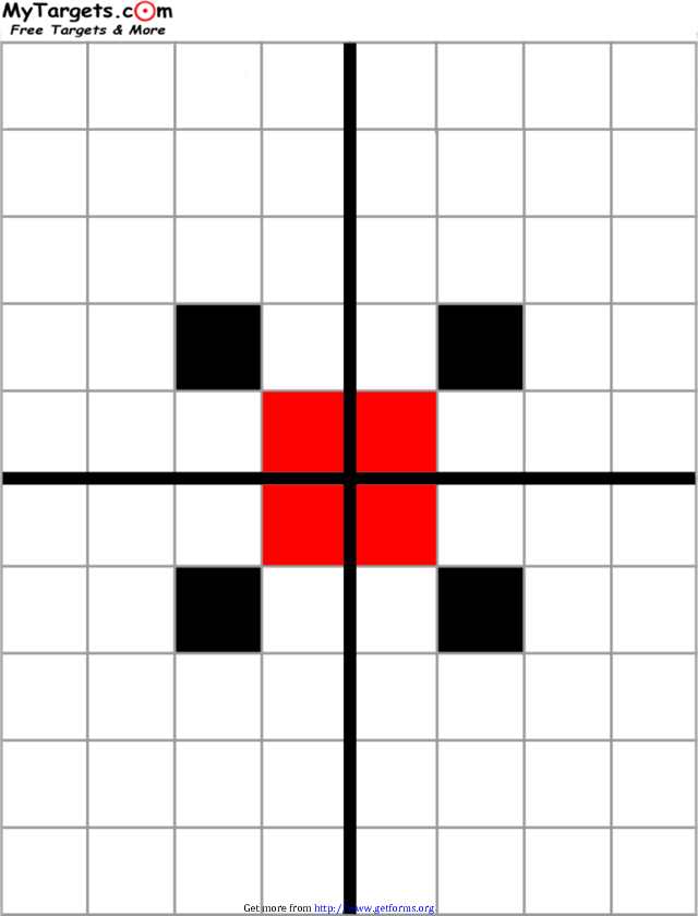 Grid Target With Sight Alignment Aid