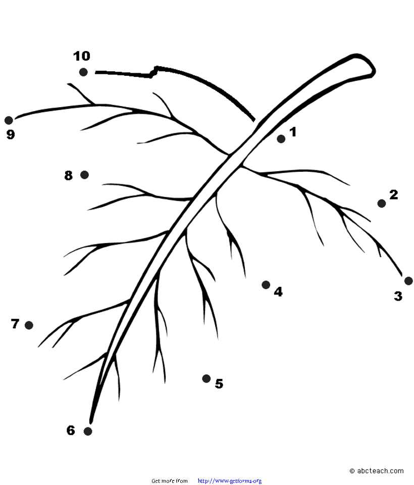 Dot to Dot: Leaf (to 10)