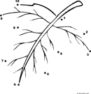 Dot to Dot: Leaf (to 10) form