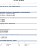 Employee Performance Evaluation form