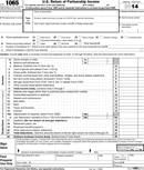 Form 1065 form