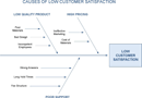 Cause and Effect Diagram form