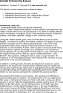 Scholarship Essay Example form