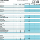 Profit and Loss Statement Template 1 form