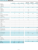 Profit and Loss Statement Template 2 form