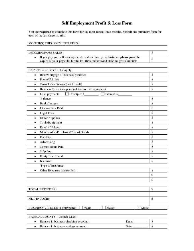 Profit and Loss Template for Self Employed