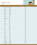 Excel Grocery List form