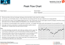 Peak Flow Chart 1 form