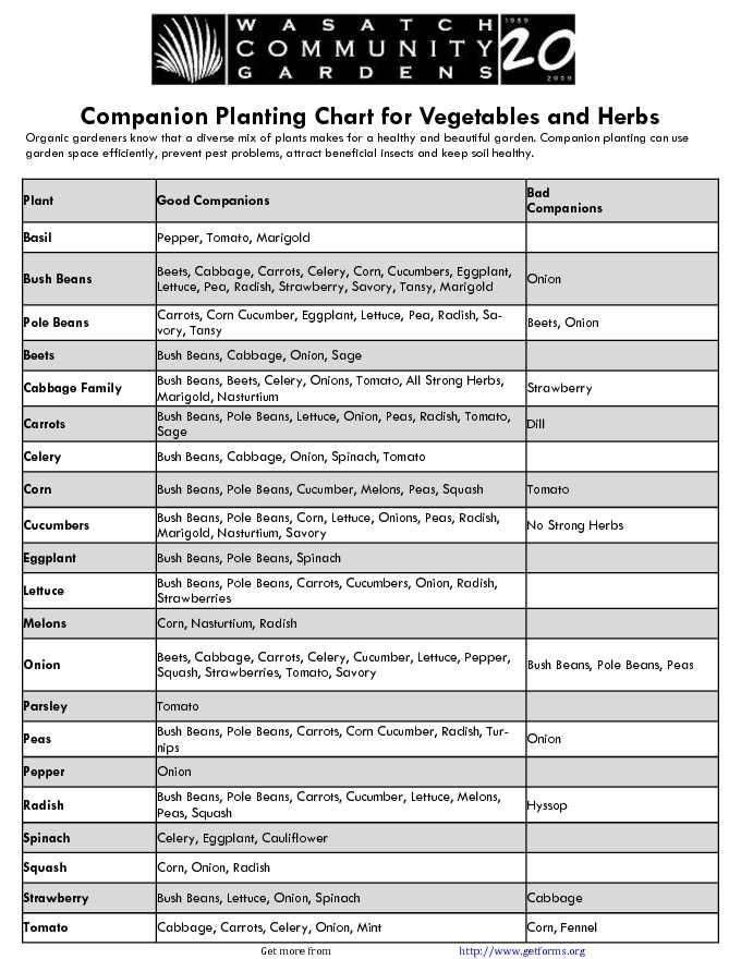 Companion Planting Chart For Vegetables And Herbs