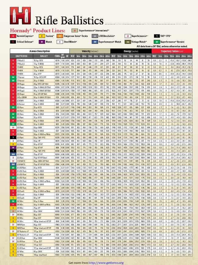 2013 Metric Ballistic Chart