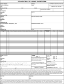 Straight Bill of Lading Short Form 2 form