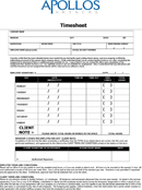 Consultant Timesheet form