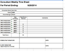 Consultant Weekly Time Sheet form