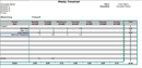 Weekly Timesheet for Consultants on Projects form