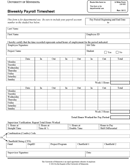 Biweekly Payroll Timesheet Template form