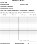 Volunteer Timesheet form