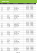 Sales Report Template 1 form