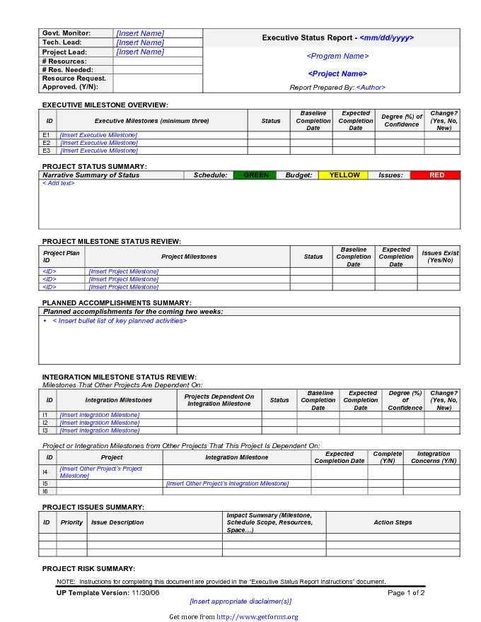 Executive Status Report Template