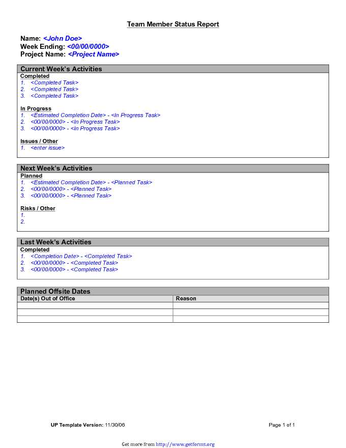 Team Member Status Report Template