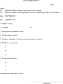 Trip Report Format form