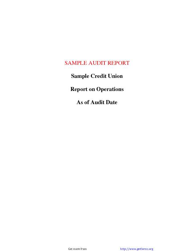 Audit Report Sample