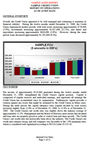 Audit Report Sample form