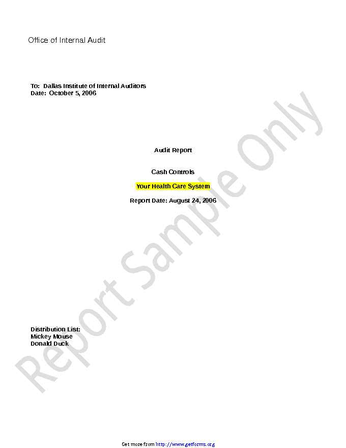 Audit Report Template