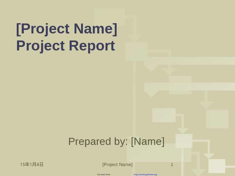 Project Report Template