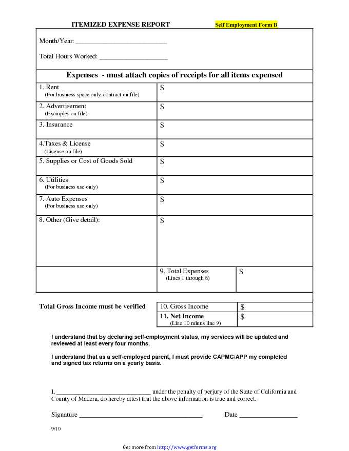 Itemized Expense Report Template