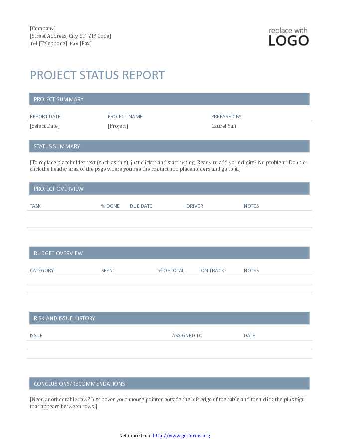 Project Status Report Template 1