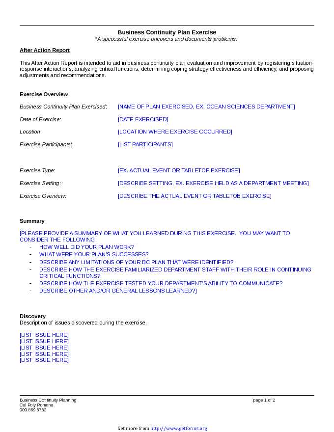 After Action Report Template 2