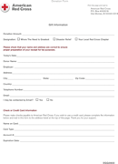 Donation Form 2 form