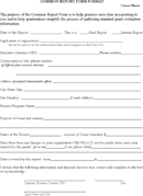 Report Format form