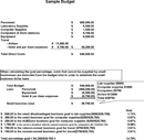 Sample Business Budget form