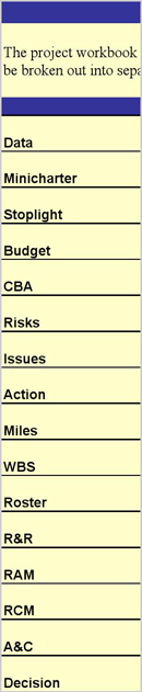 Project Cost Template form