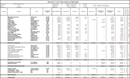 Project Cost Tracking Worksheet form