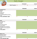 Baby Budget 1 form