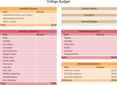 College Budget form