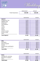 Wedding Budget 3 form